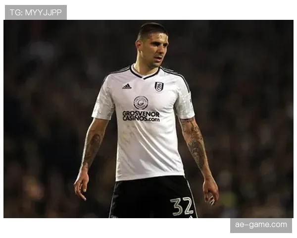 米特罗维奇在富勒姆时期